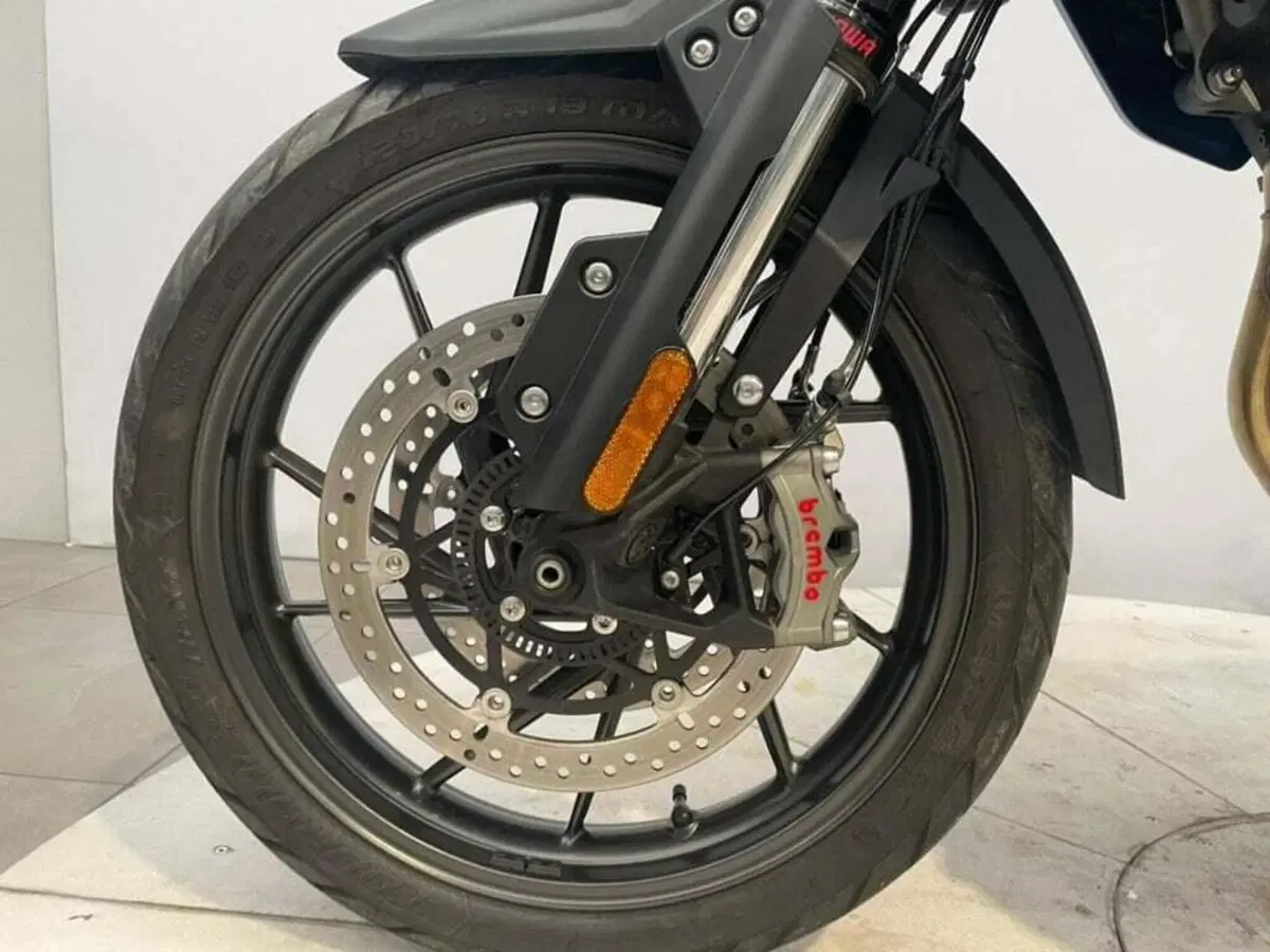 Triumph Tiger 1200 GT Pro (2022 - 23) (6)