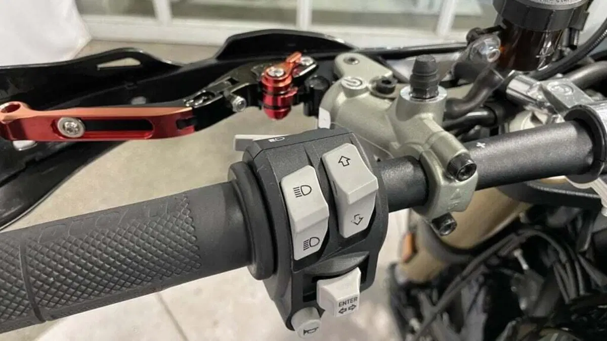 Ducati Scrambler 1100 (2018 - 20) (13)