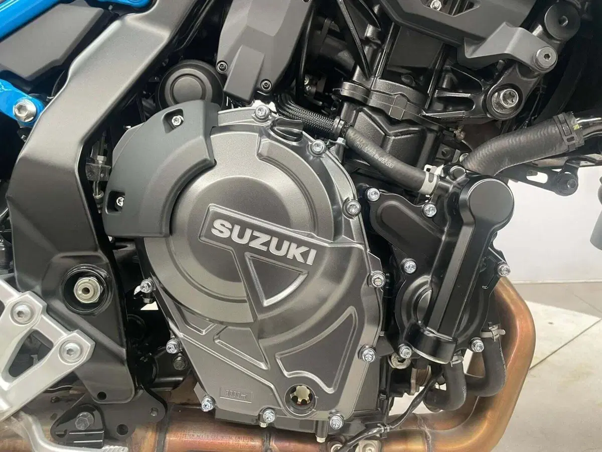 Suzuki GSX-8S (2023 - 24) (6)
