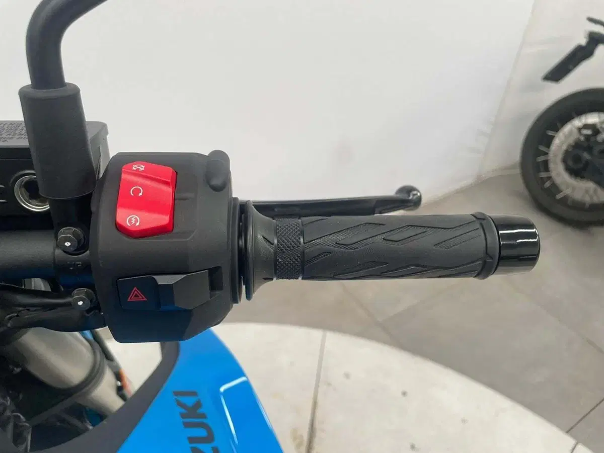 Suzuki GSX-8S (2023 - 24) (10)