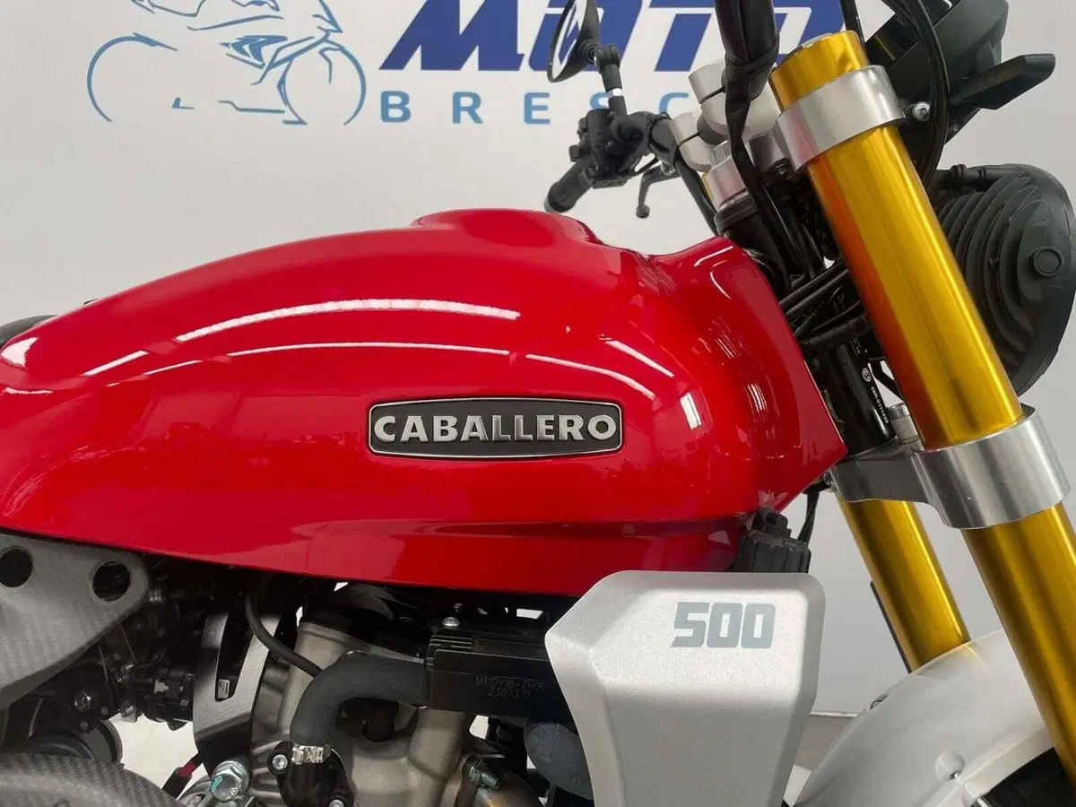Fantic Motor Caballero 500 Scrambler (2024) (4)