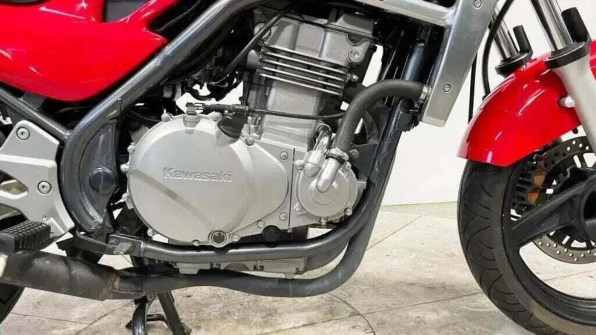 Kawasaki ER-5 500 (2001 - 06) (4)