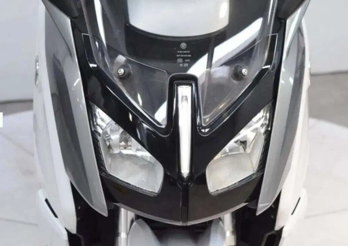 Bmw C Evolution Elettrico (2015 - 16) (3)