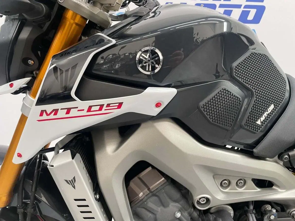 Yamaha MT-09 Street Rally (2014 - 16) (5)