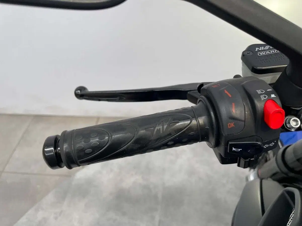 MV Agusta Brutale 800 EAS ABS (2016 - 19) (9)
