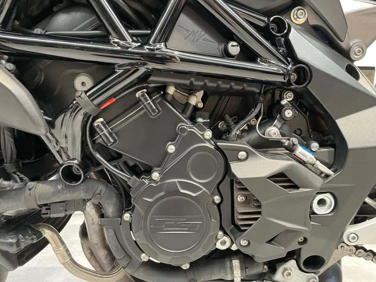 MV Agusta Brutale 800 EAS ABS (2016 - 19) (12)