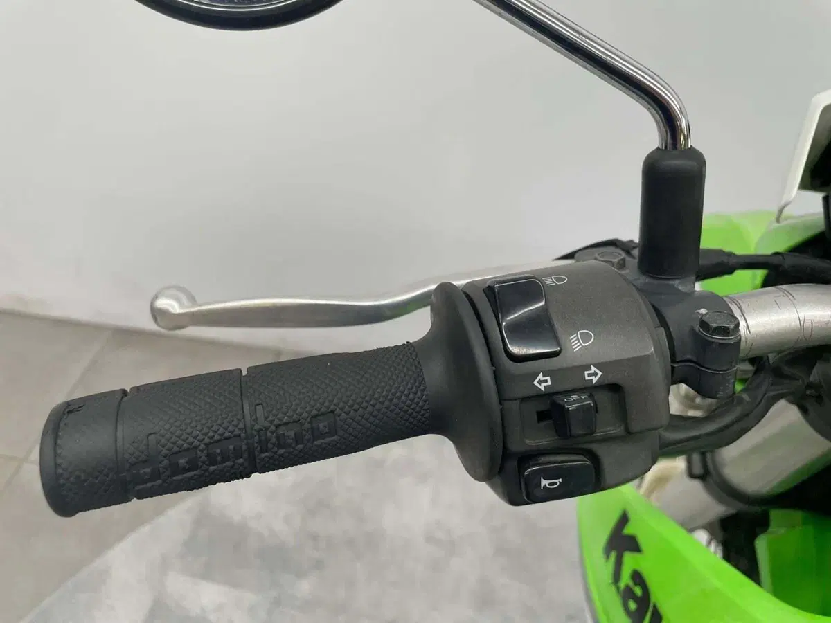 Kawasaki KLX 250 (2009 - 16) (8)