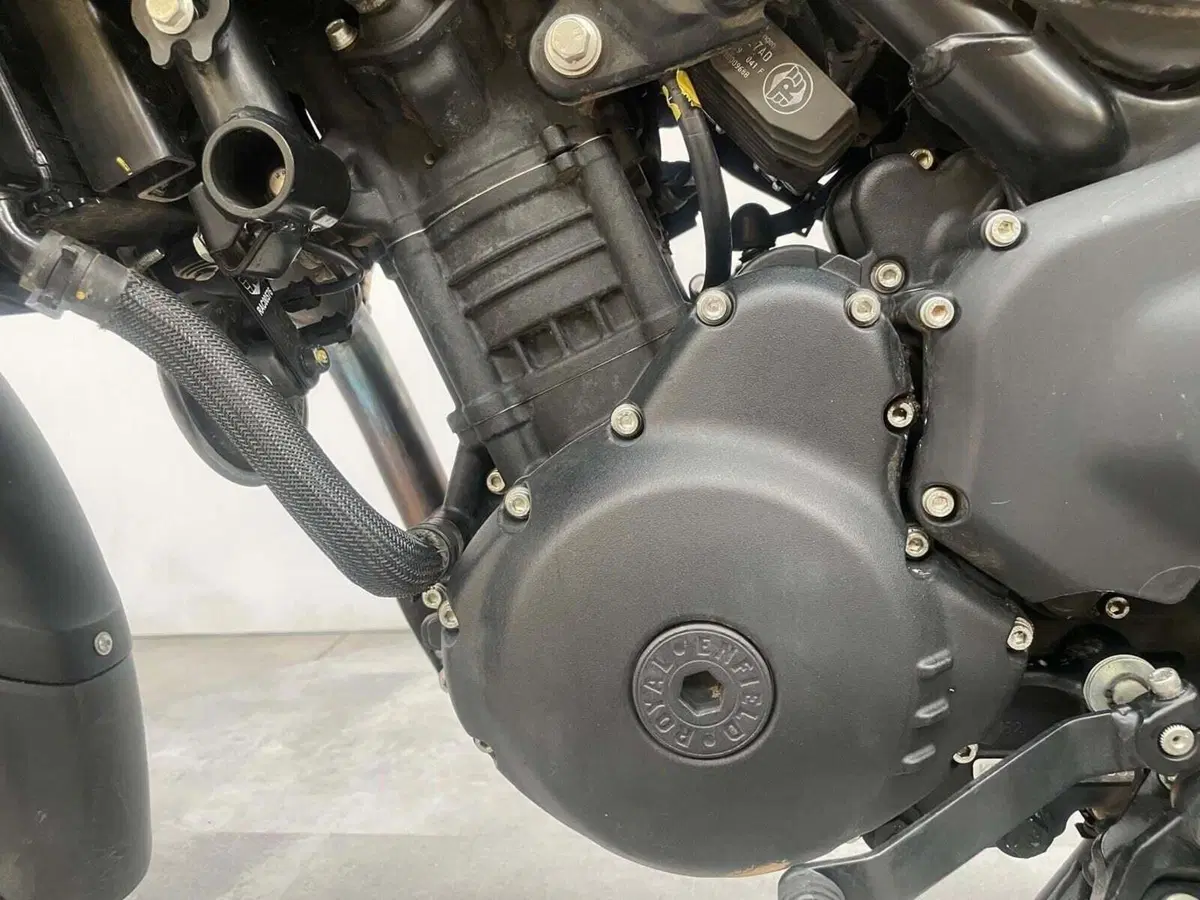 Royal Enfield Himalayan 450 (2024 - 26) (11)