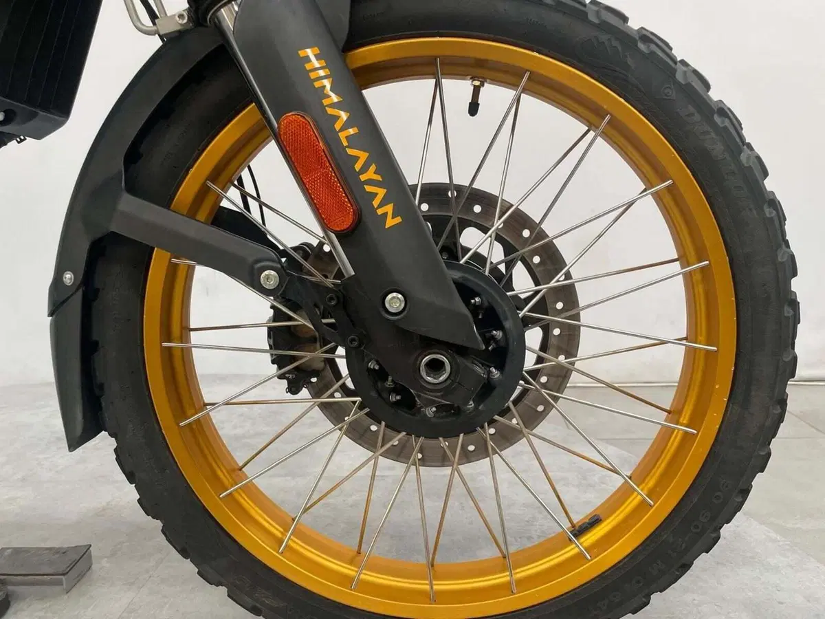 Royal Enfield Himalayan 450 (2024 - 26) (15)