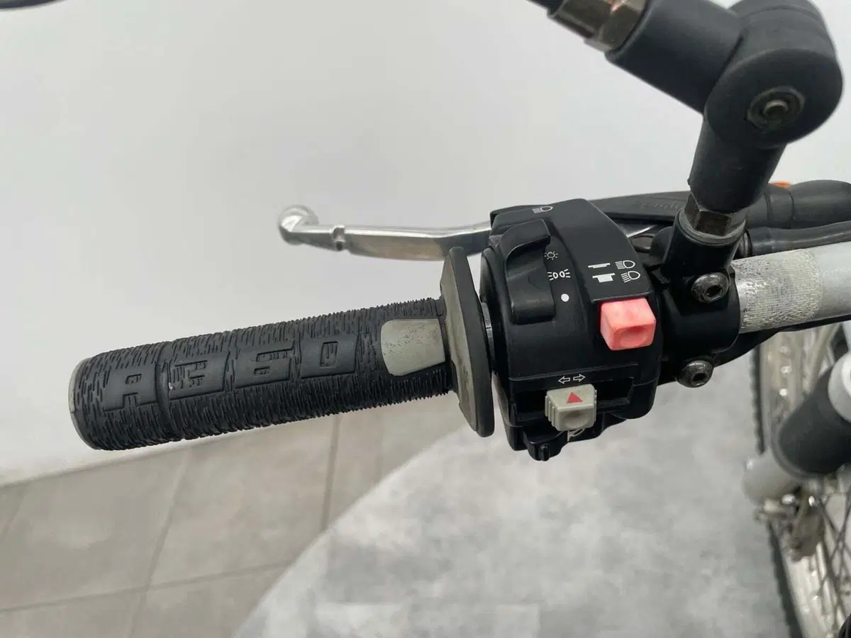Betamotor Alp 200 4T (1999 - 06) (7)