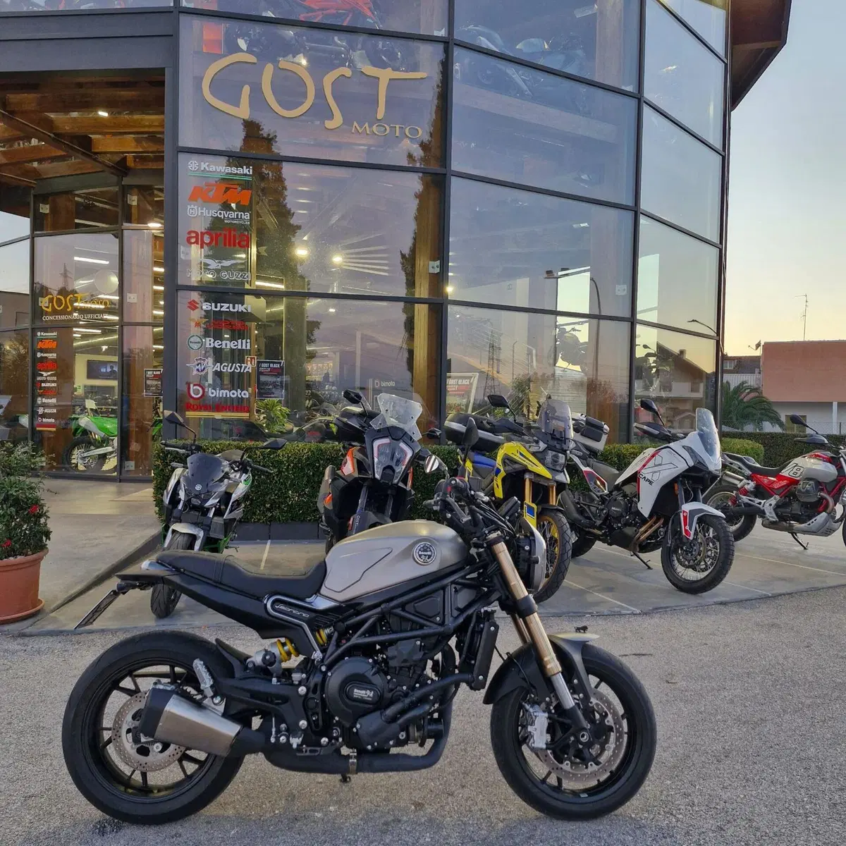 Benelli Leoncino 800 (2022 - 26) (2)