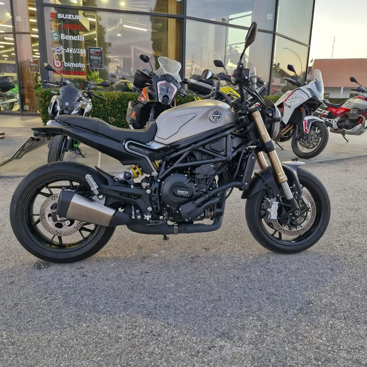 Benelli Leoncino 800 (2022 - 26) (4)