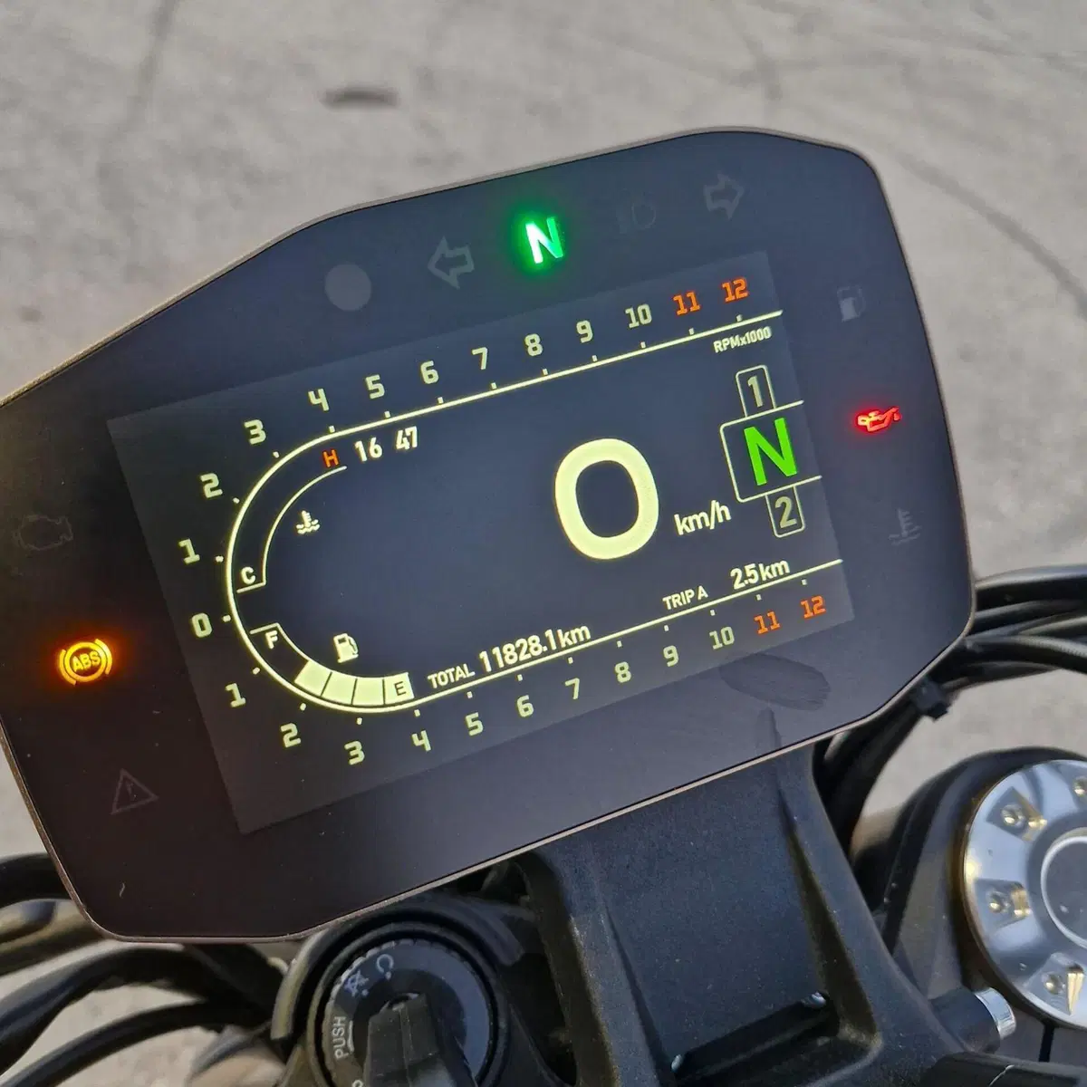 Benelli Leoncino 800 (2022 - 26) (12)