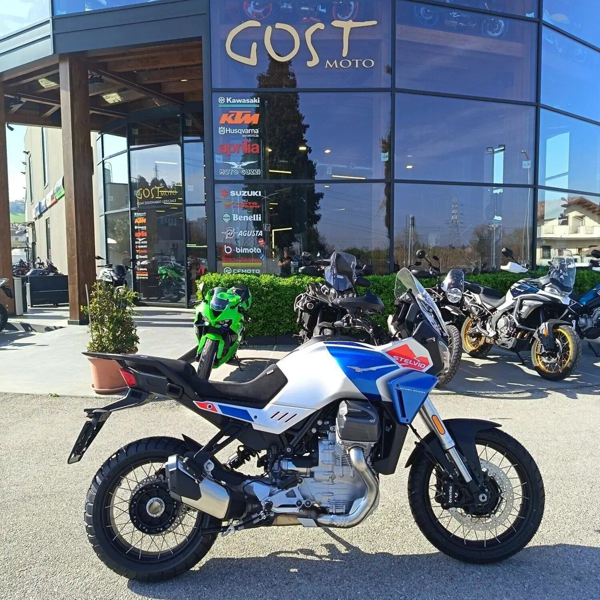 Moto Guzzi Stelvio Duecento Tributo (2025 - 26) (4)