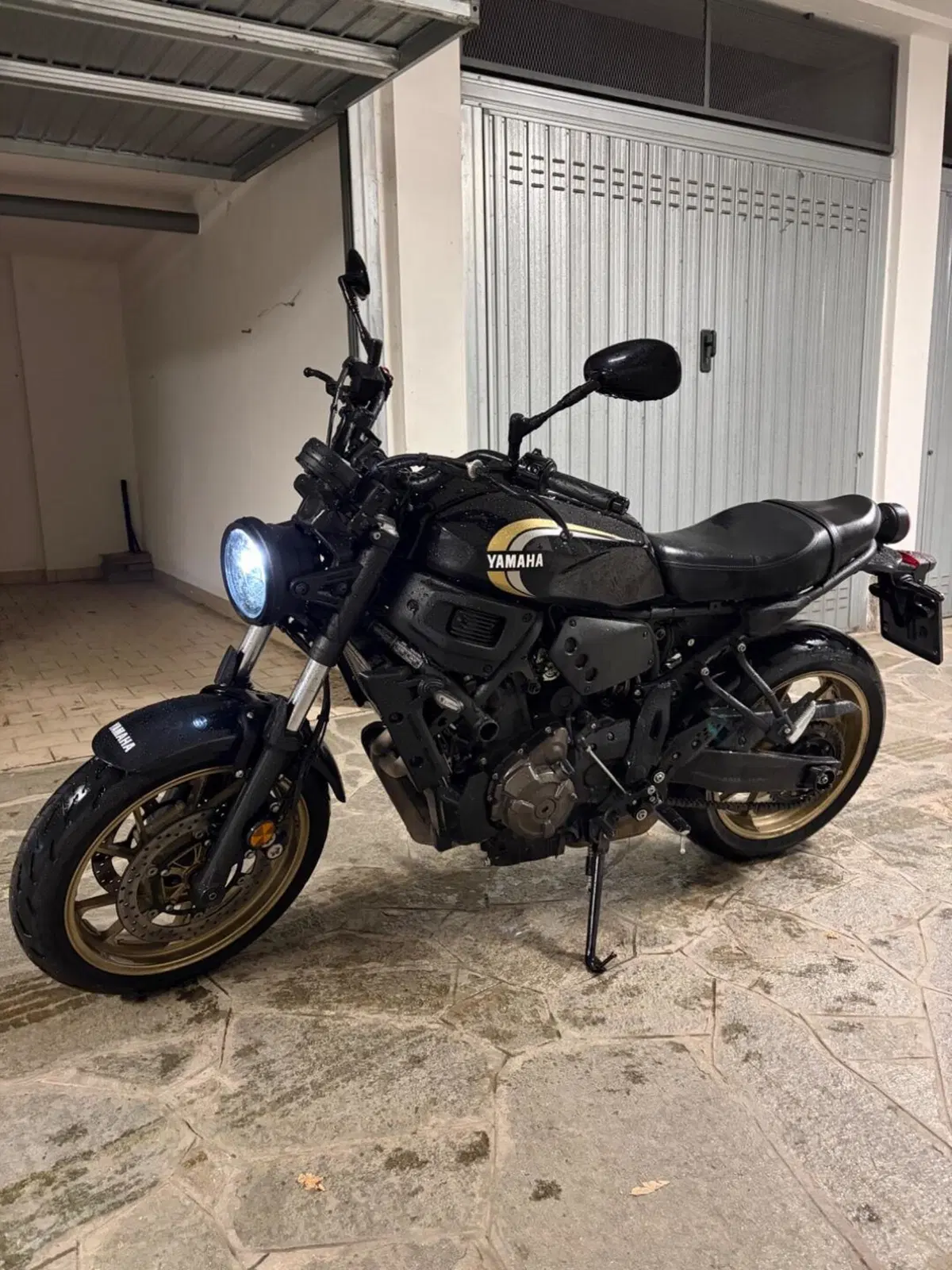 Yamaha XSR 700 (2022 - 26)