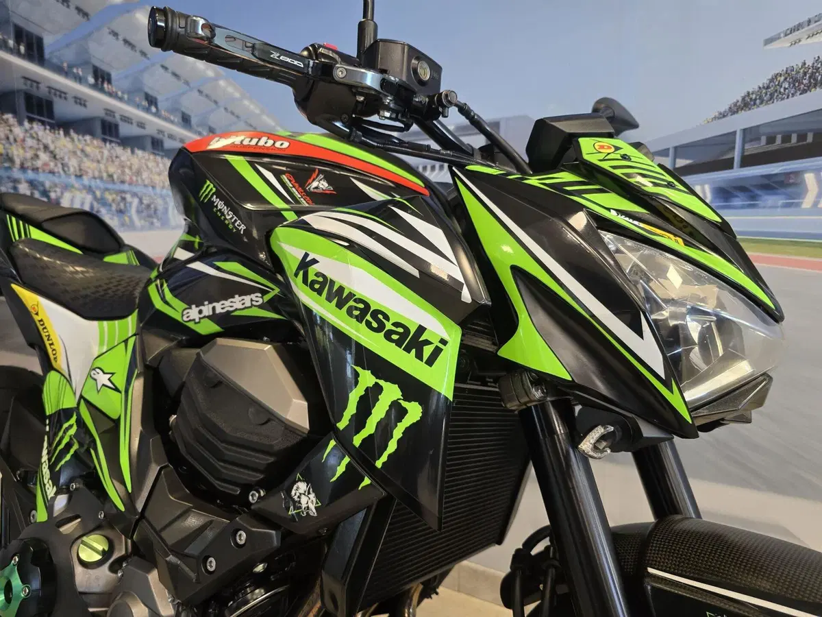 Kawasaki Z 800 ABS (2012 - 16) (10)