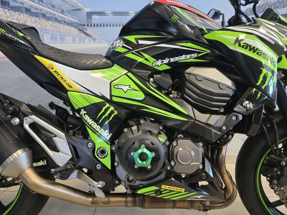 Kawasaki Z 800 ABS (2012 - 16) (11)