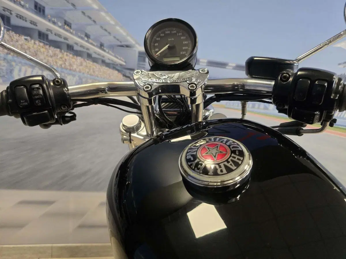 Harley-Davidson 883 Standard (2001 - 05) - XL 883 (6)