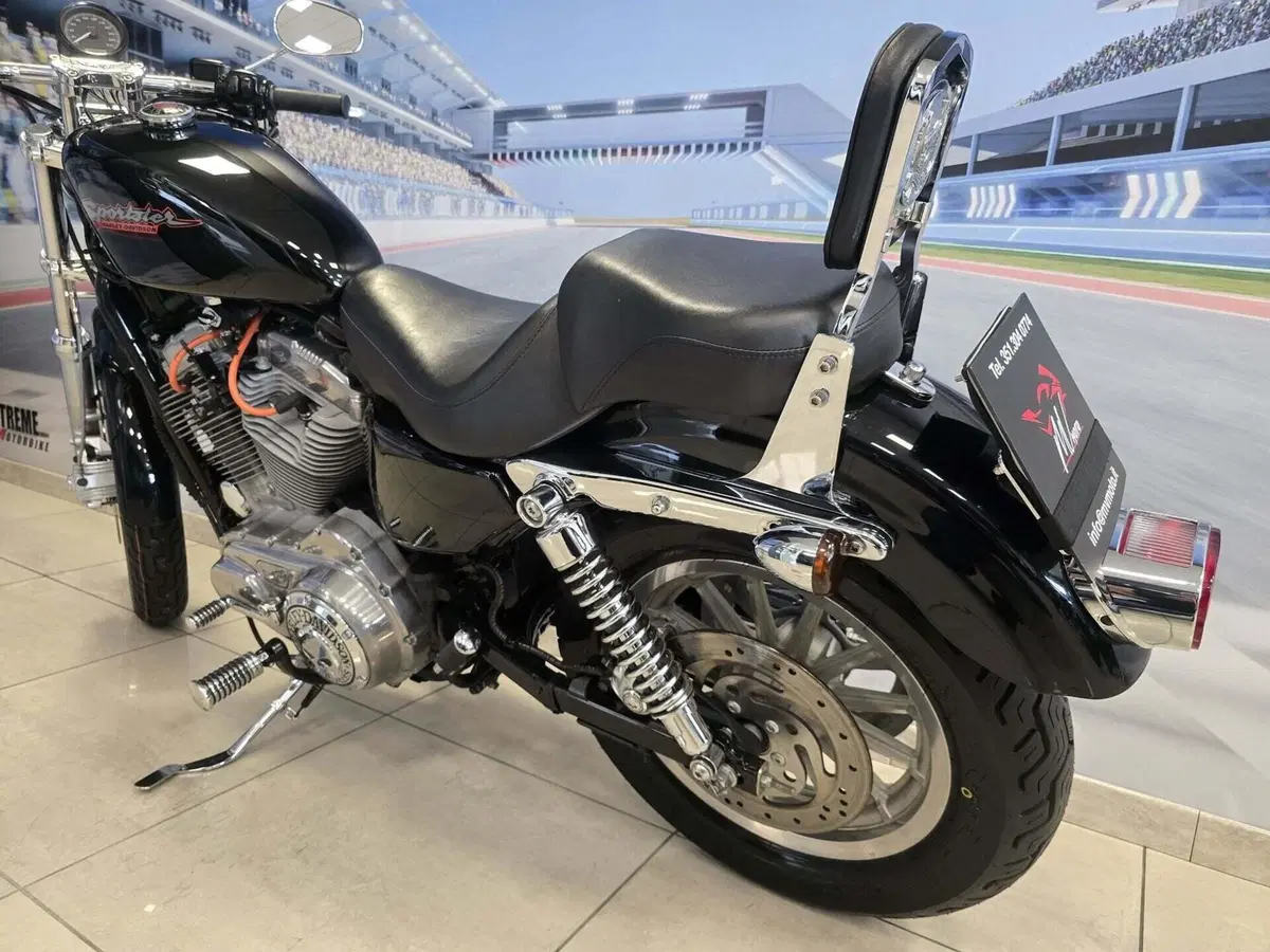 Harley-Davidson 883 Standard (2001 - 05) - XL 883 (7)