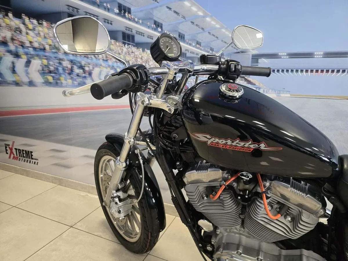 Harley-Davidson 883 Standard (2001 - 05) - XL 883 (13)