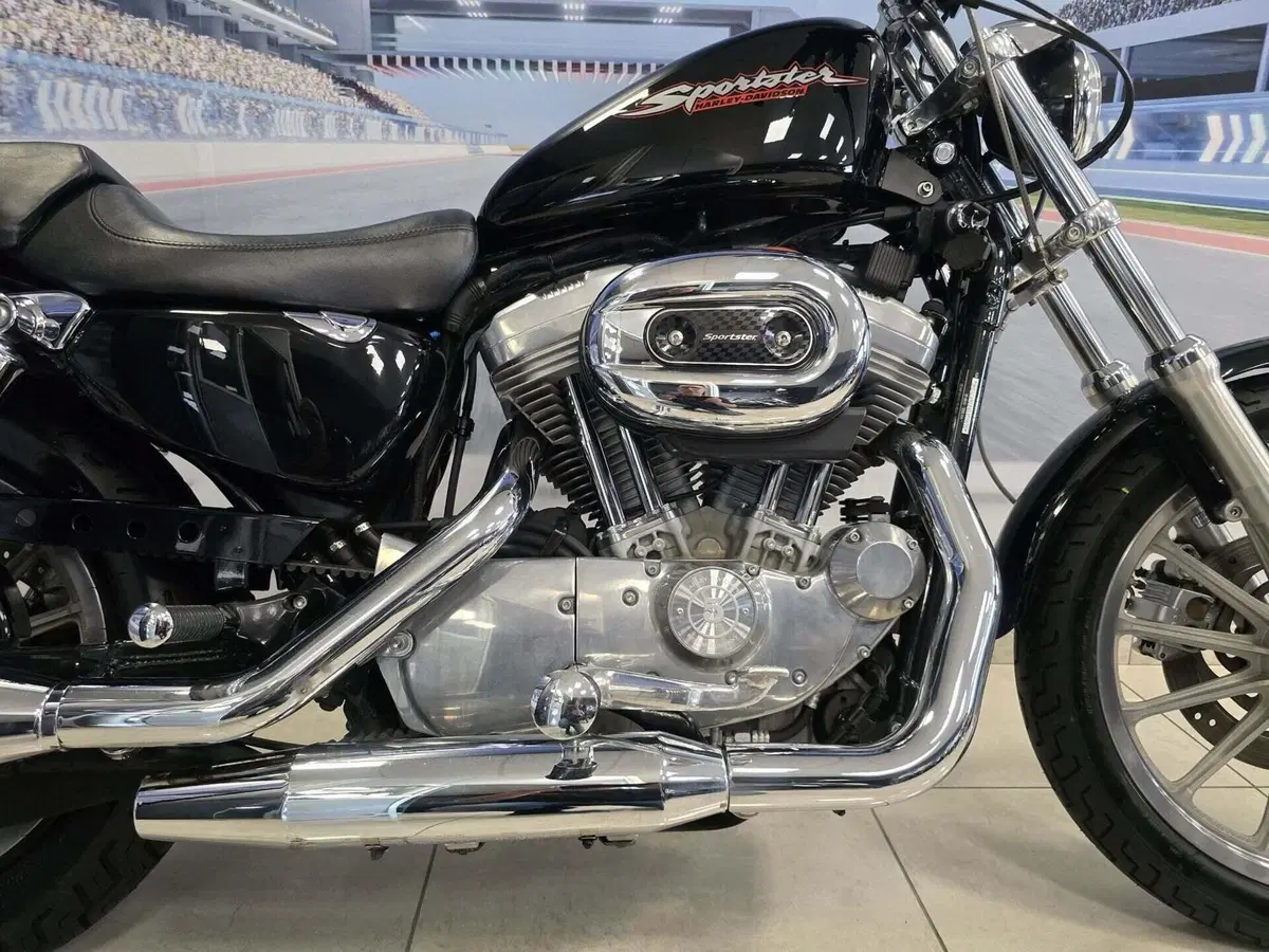 Harley-Davidson 883 Standard (2001 - 05) - XL 883 (18)