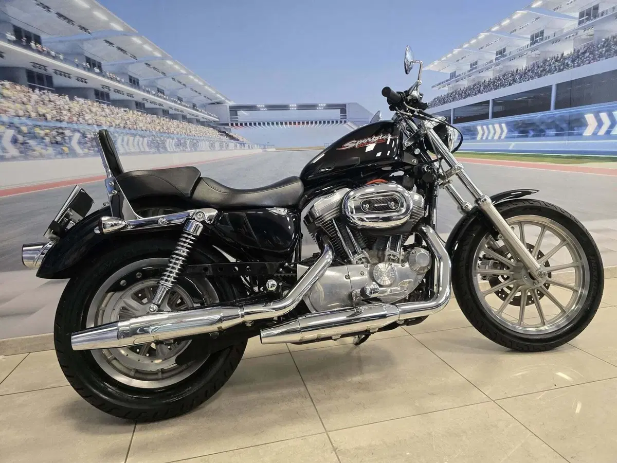 Harley-Davidson 883 Standard (2001 - 05) - XL 883 (19)