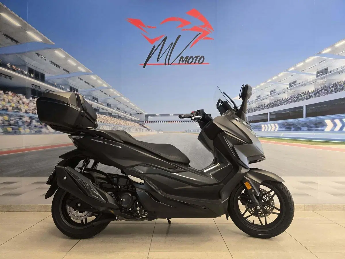 Honda Forza 350 Deluxe (2022 - 24)