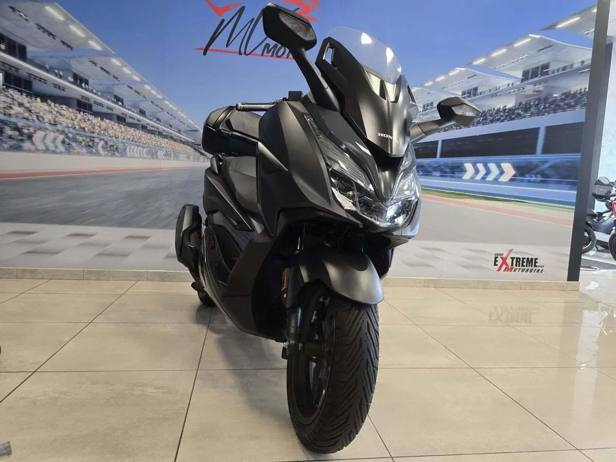 Honda Forza 350 Deluxe (2022 - 24) (3)