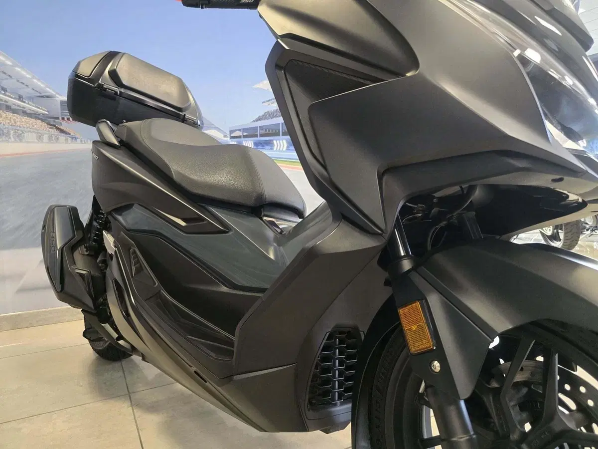 Honda Forza 350 Deluxe (2022 - 24) (12)