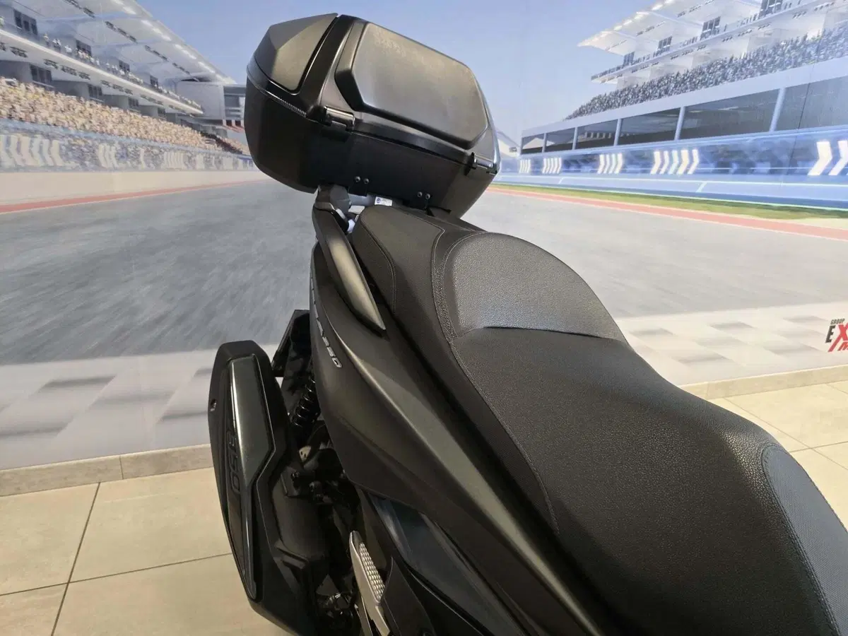 Honda Forza 350 Deluxe (2022 - 24) (13)