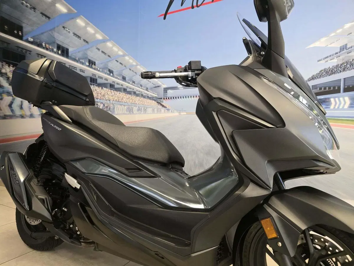 Honda Forza 350 Deluxe (2022 - 24) (14)