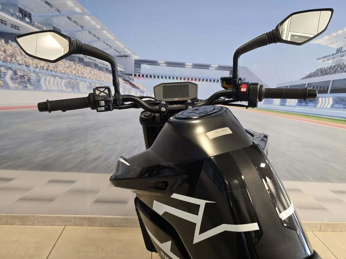 KTM 890 Duke GP (2022 - 23) (20)