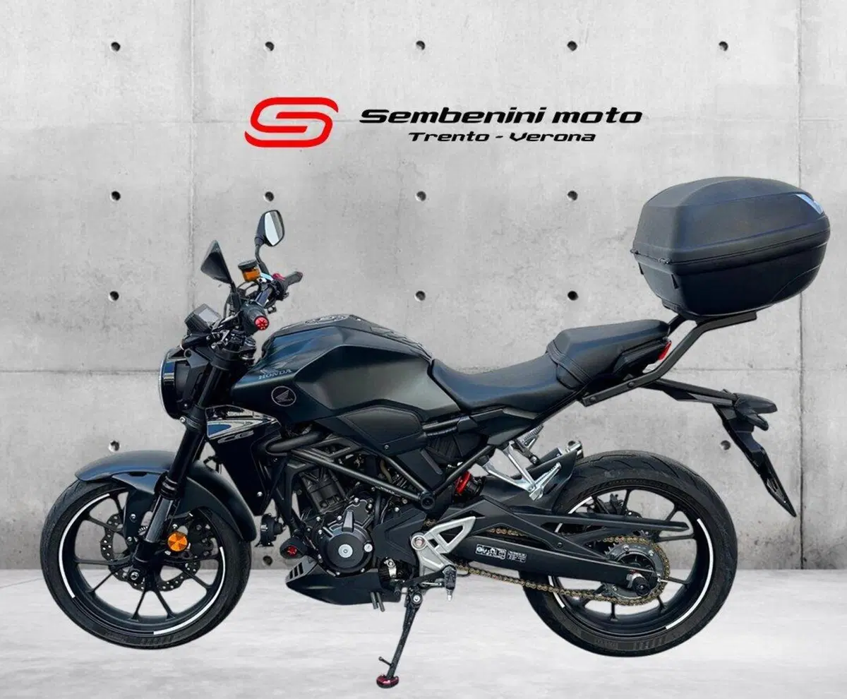 Honda CB 300 R (2022 - 26) (2)