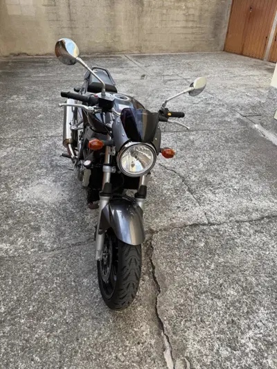Suzuki SV 650 (2006 - 11) usata