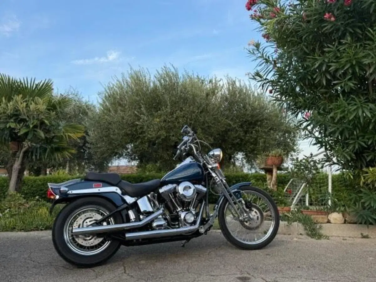 Harley-Davidson 1450 Springer (1999 - 00) - FXSTS (10)