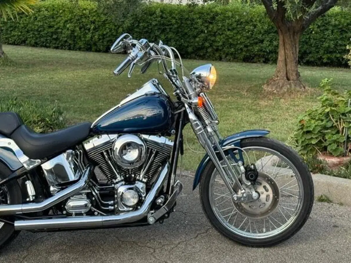 Harley-Davidson 1450 Springer (1999 - 00) - FXSTS (2)