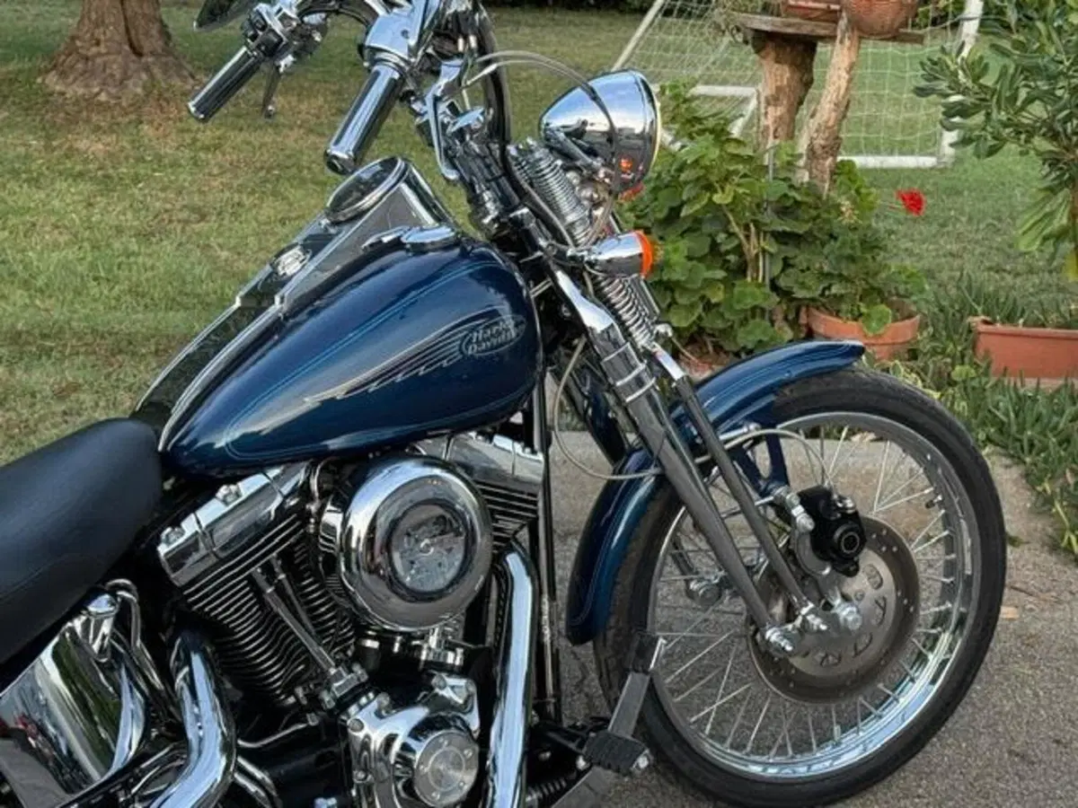 Harley-Davidson 1450 Springer (1999 - 00) - FXSTS (3)