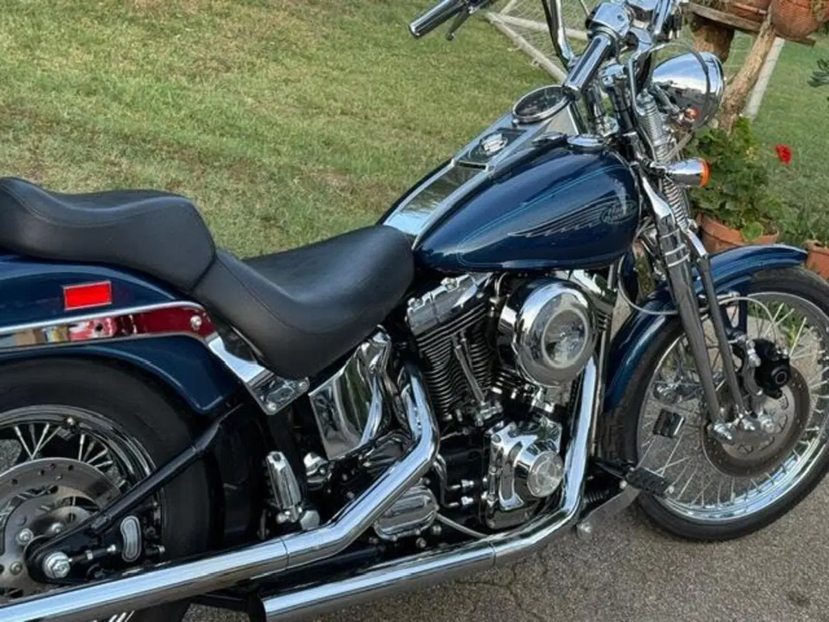 Harley-Davidson 1450 Springer (1999 - 00) - FXSTS (4)