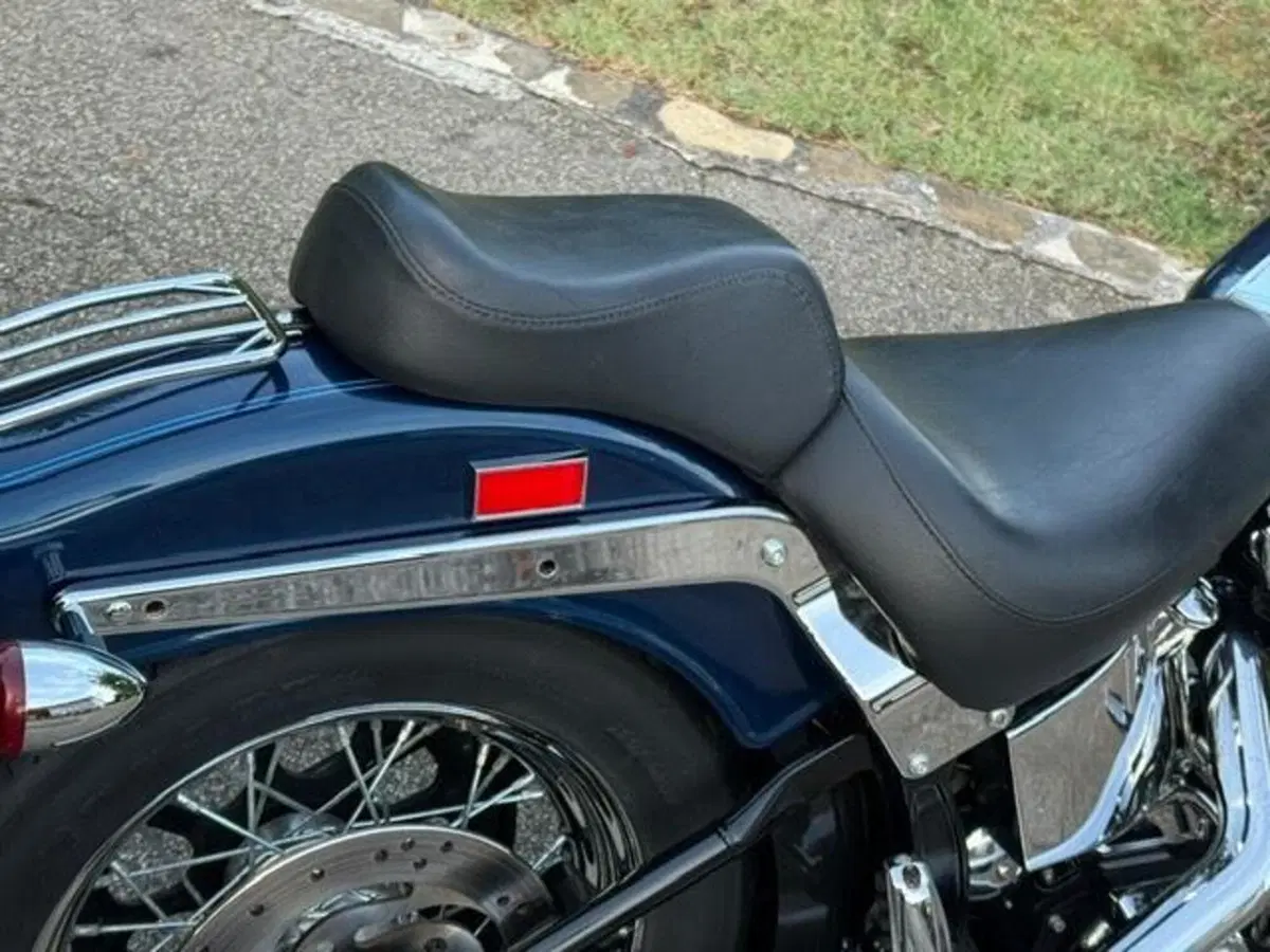 Harley-Davidson 1450 Springer (1999 - 00) - FXSTS (6)