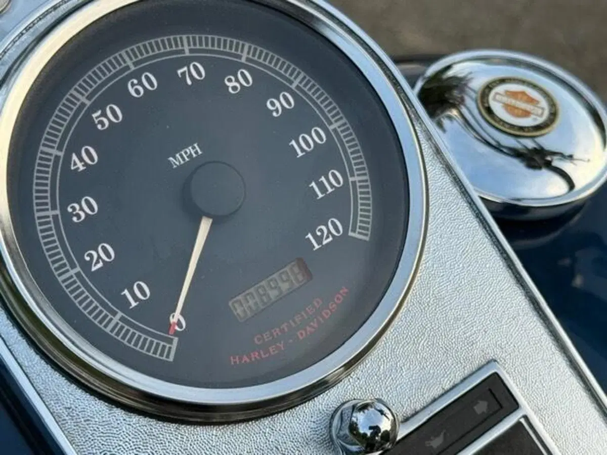 Harley-Davidson 1450 Springer (1999 - 00) - FXSTS (9)