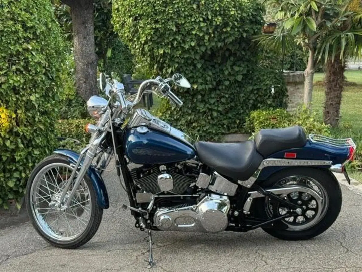 Harley-Davidson 1450 Springer (1999 - 00) - FXSTS (14)