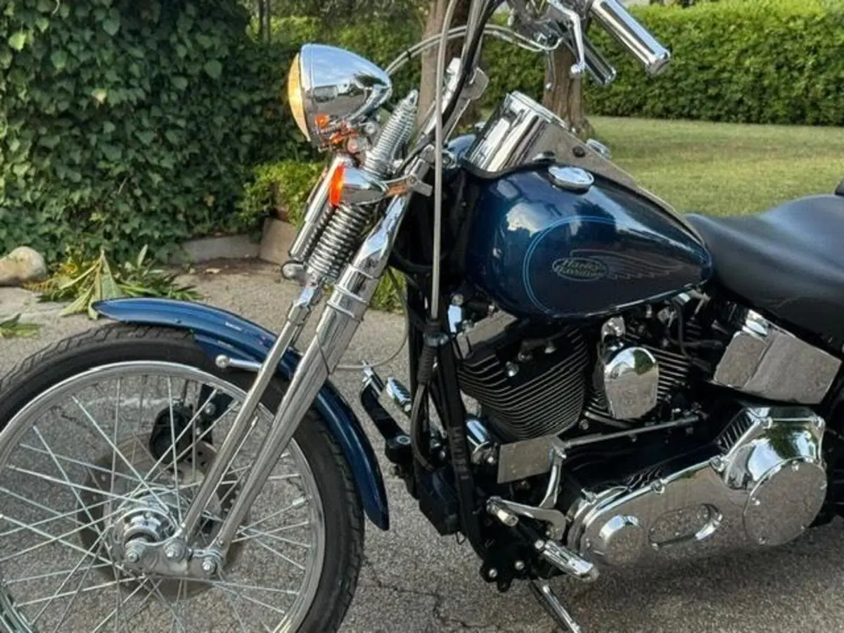Harley-Davidson 1450 Springer (1999 - 00) - FXSTS (15)