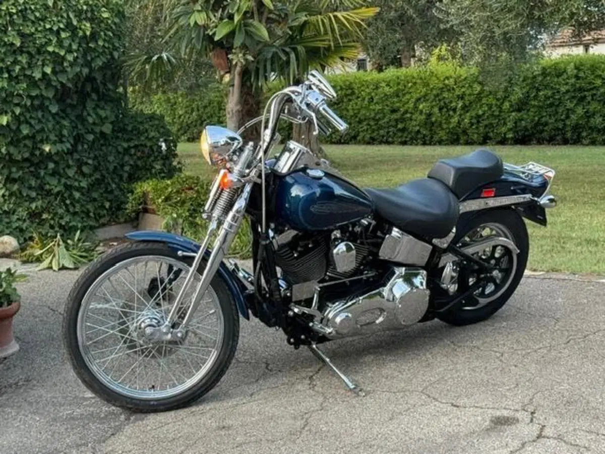 Harley-Davidson 1450 Springer (1999 - 00) - FXSTS (16)