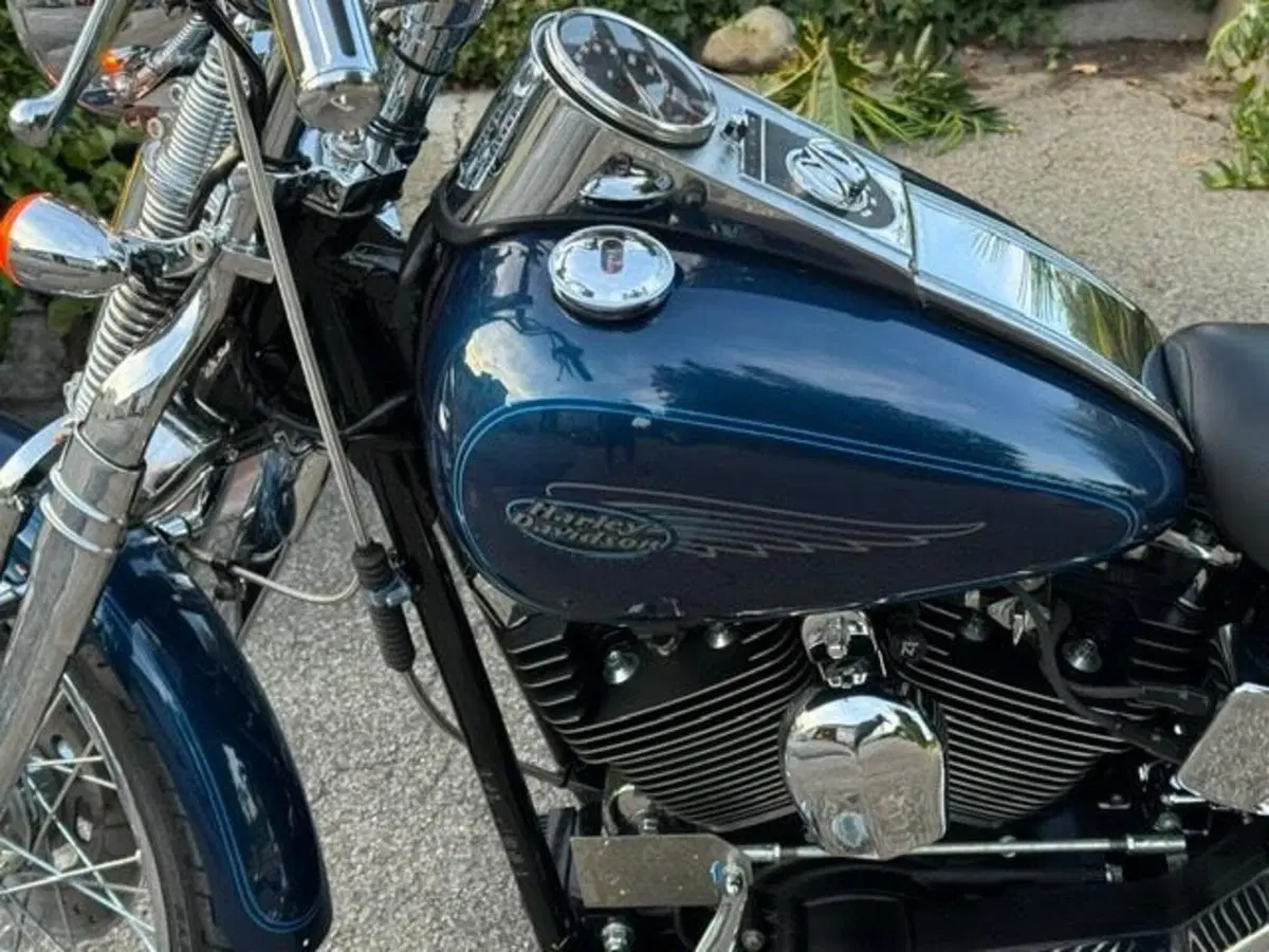 Harley-Davidson 1450 Springer (1999 - 00) - FXSTS (18)