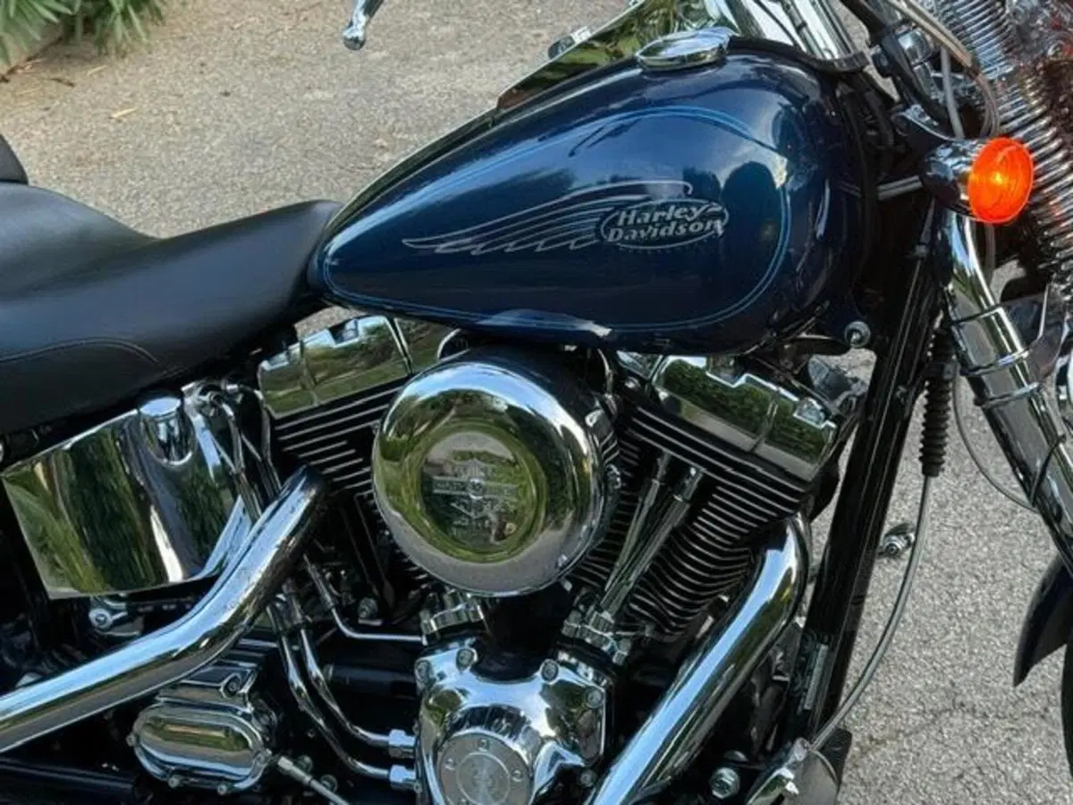 Harley-Davidson 1450 Springer (1999 - 00) - FXSTS (19)