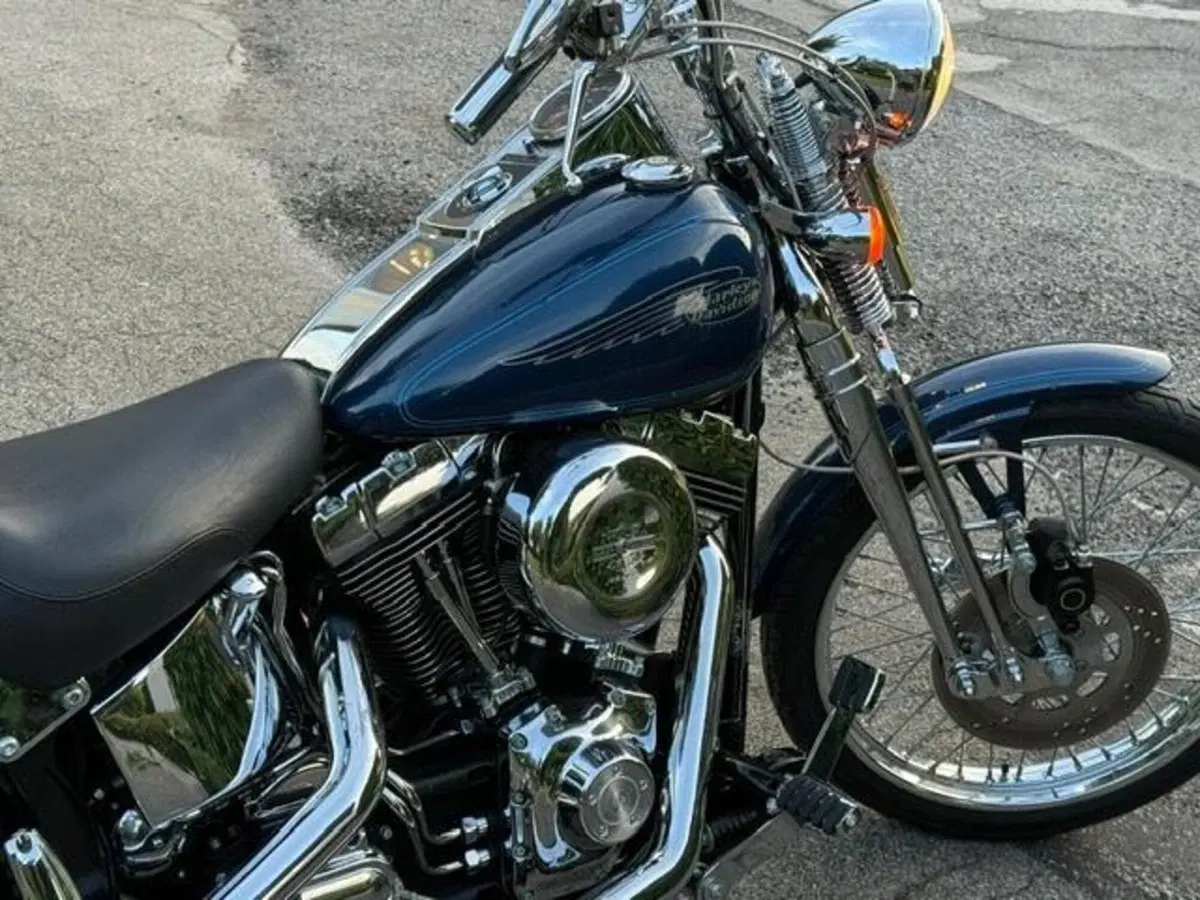 Harley-Davidson 1450 Springer (1999 - 00) - FXSTS (20)