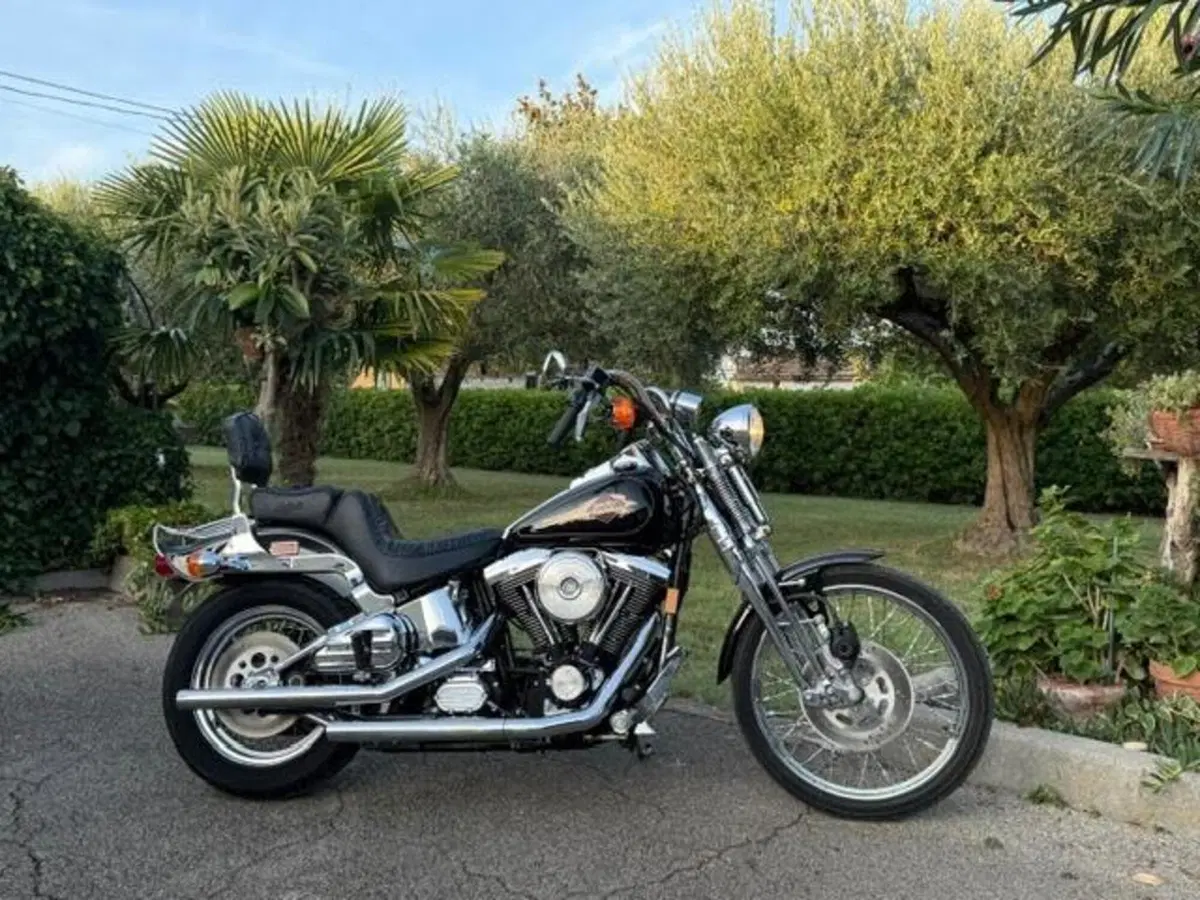 Harley-Davidson 1340 Springer (1990 - 98) - FXSTS