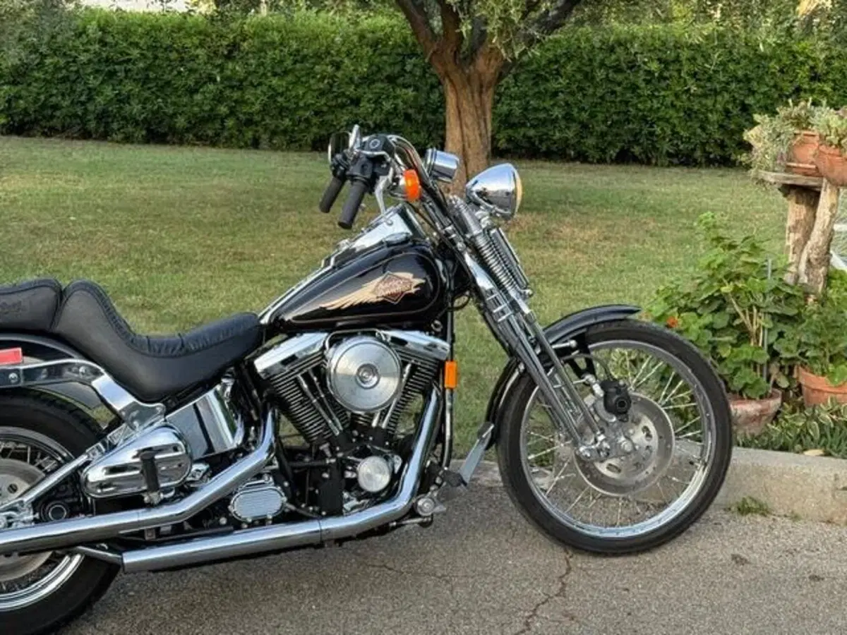 Harley-Davidson 1340 Springer (1990 - 98) - FXSTS (2)