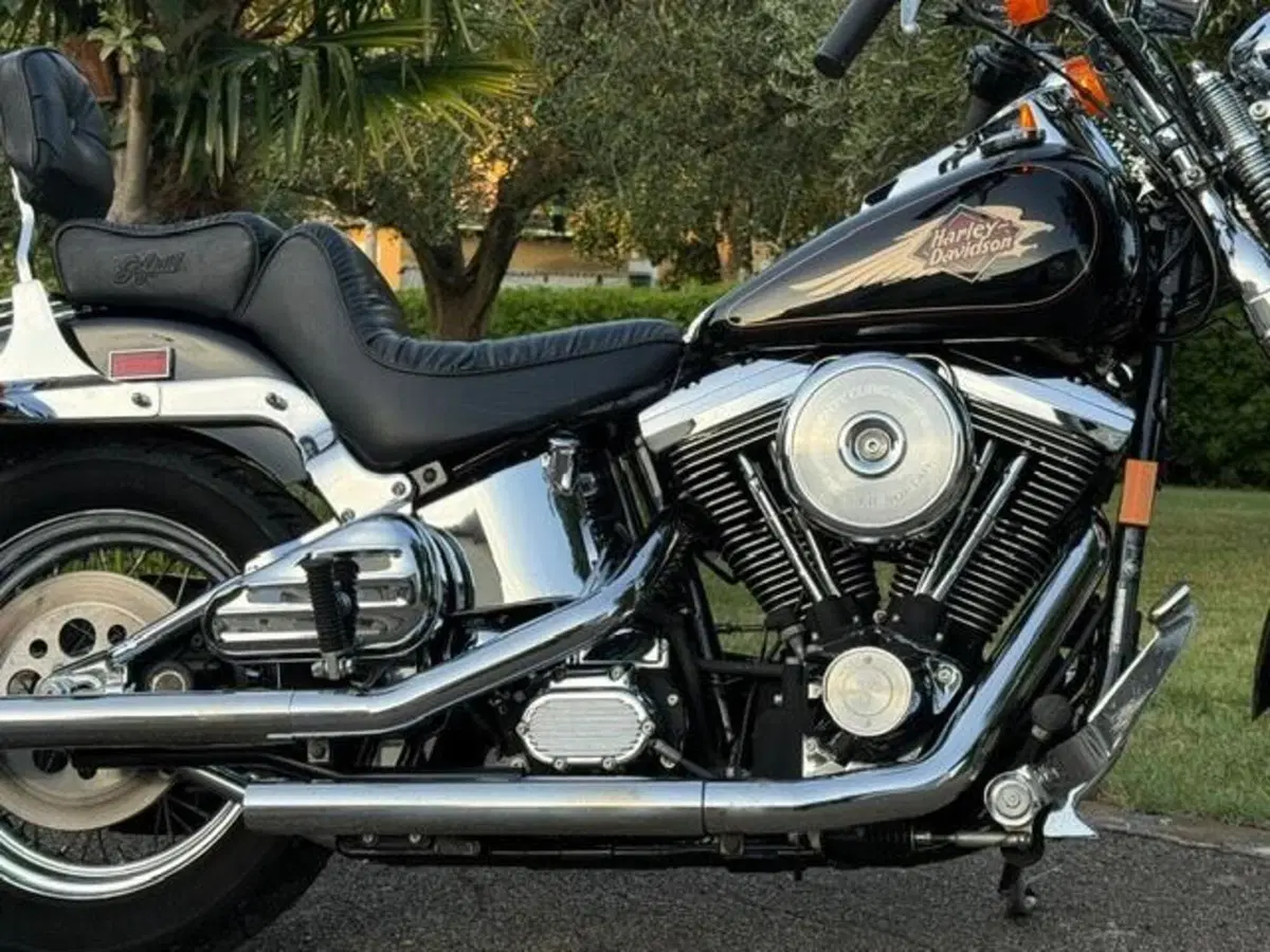 Harley-Davidson 1340 Springer (1990 - 98) - FXSTS (3)
