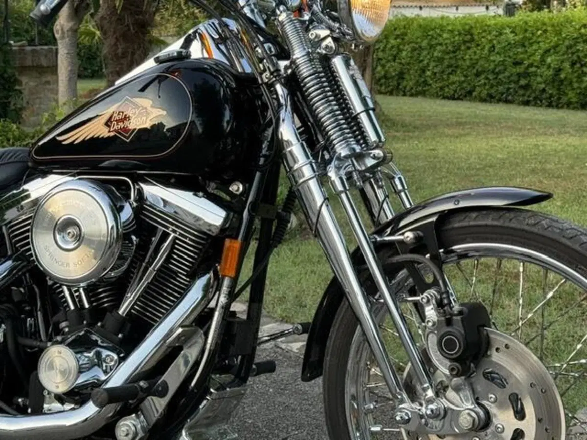 Harley-Davidson 1340 Springer (1990 - 98) - FXSTS (5)